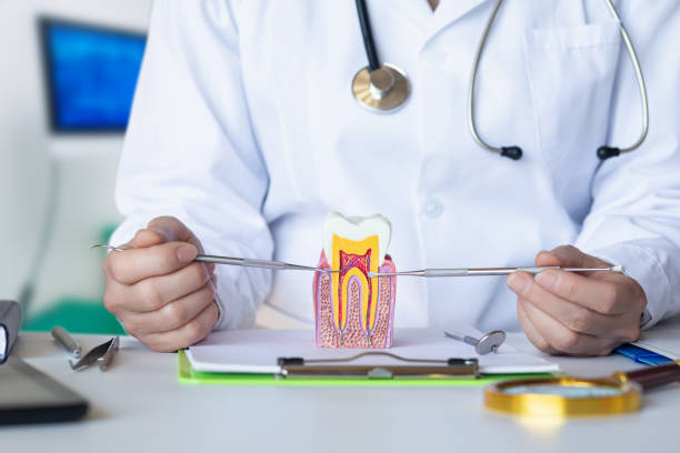 Best Knocked-Out Tooth (Avulsed Tooth) Treatment in Morris, OK